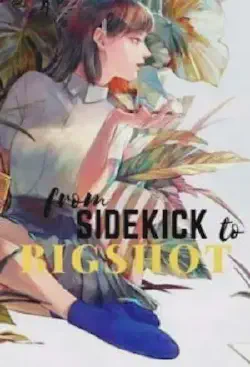 Novel cover for From Sidekick to Bigshot
