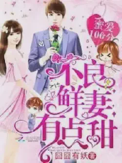 Novel cover for Perfect Secret Love the Bad New Wife Is a Little Sweet