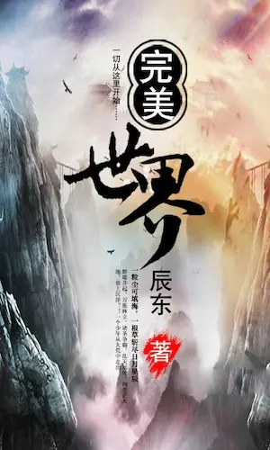 Novel cover for Perfect World