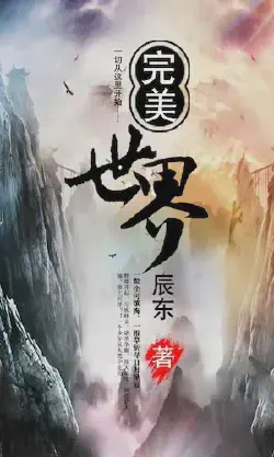 Novel cover for Perfect World