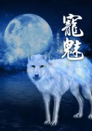 Novel cover for The Charm of Soul Pets